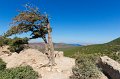 0336 Monolithos